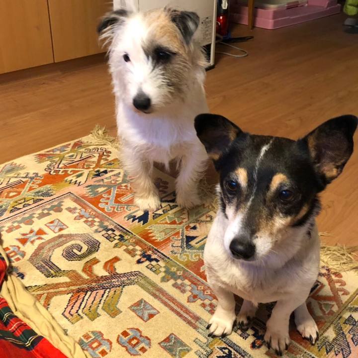 1f6a2876 e0c2 41ff bfc2 0f8ae70008c4 1550732953236