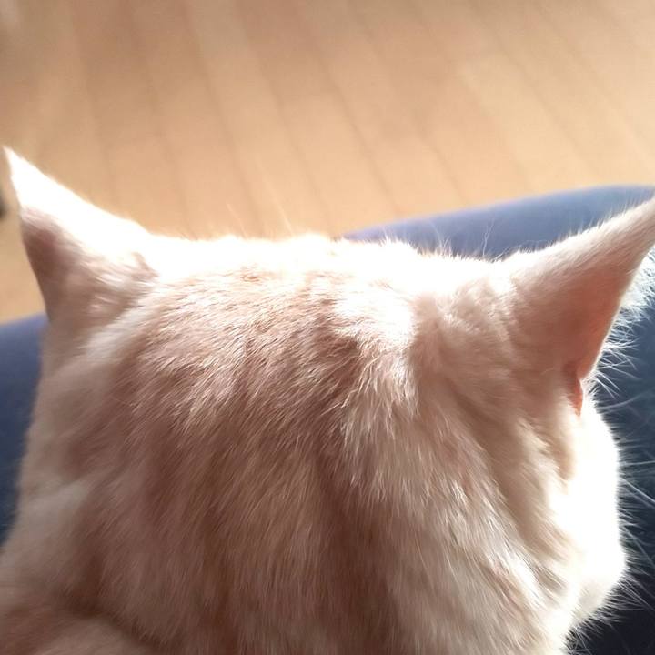 1f6a521c 09a6 42fa b077 03bba74c880d 1552119624598