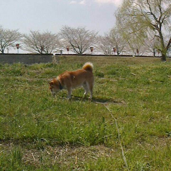 1f6a54ce c7cf 4741 b15c 23995d9f1777 1554636027072