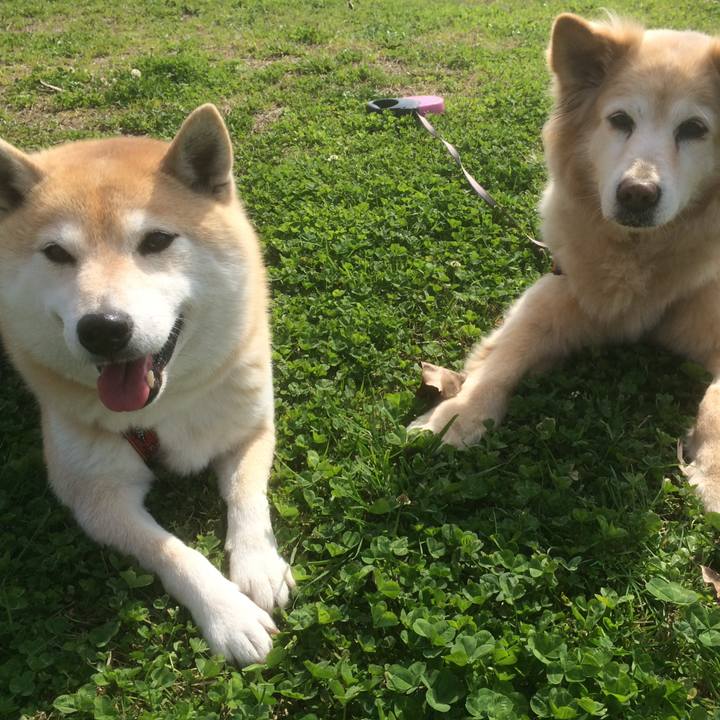 1f6a8eee 09bf 45db bc54 d71f4d1eed3f 1764166619986