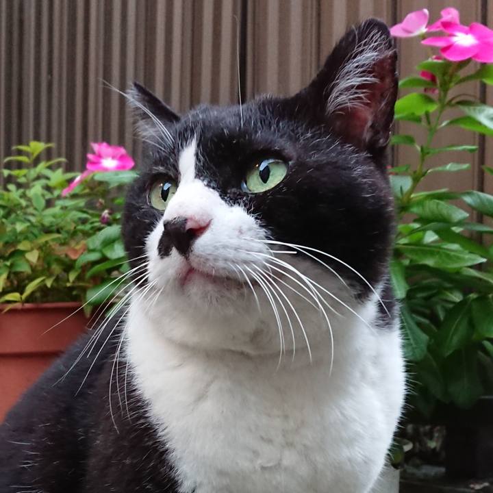 1f6adfb5 3bd3 4281 97dc 01bed4ede08a 1629794985721