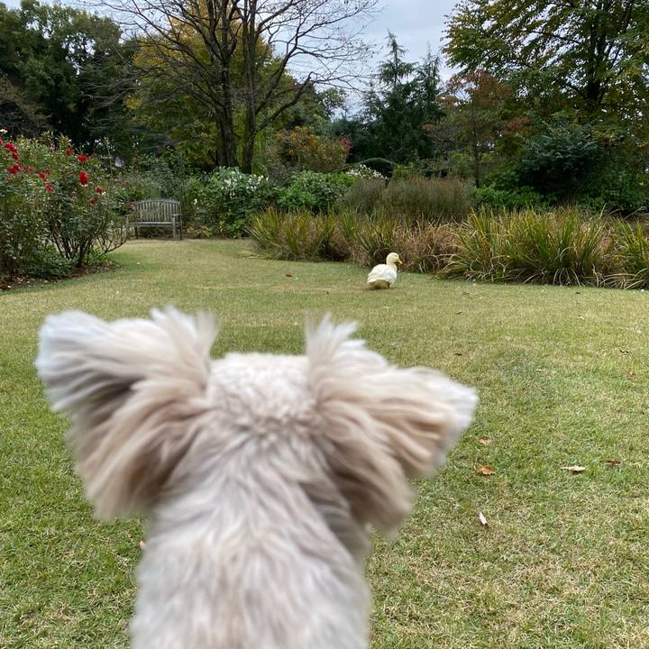 1f6aea1f 2198 447a 9e1d 207e67312e78 1667360709617