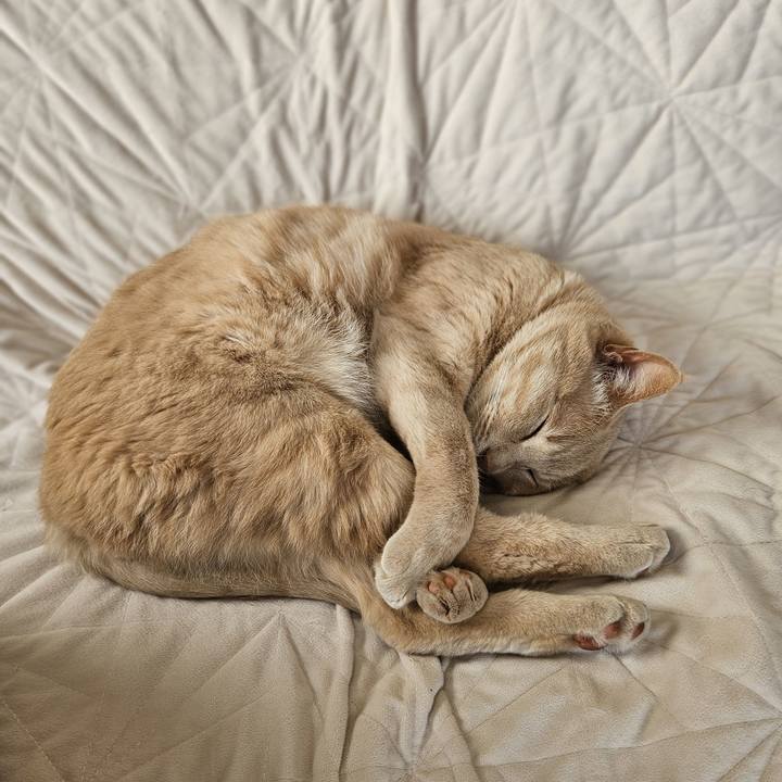 1f6b0c88 6483 4232 a691 749542920b4f 1746074424468