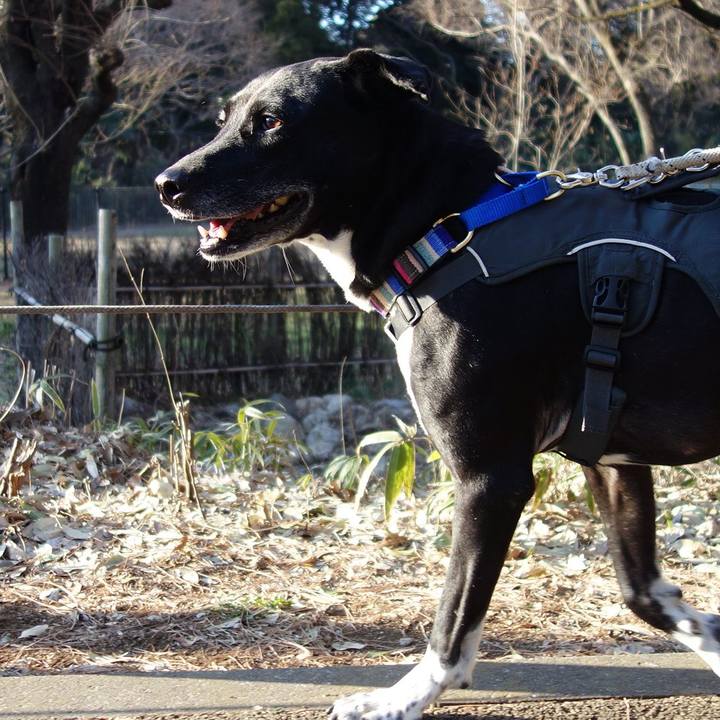 1f6b52bb d861 4b6a b552 3f79e20a919b 1646526320761