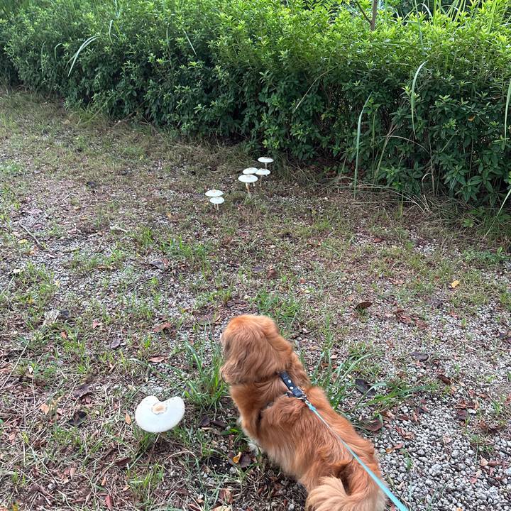 1f6b8954 abcf 4404 aba8 2caa82c42d94 1694639223856