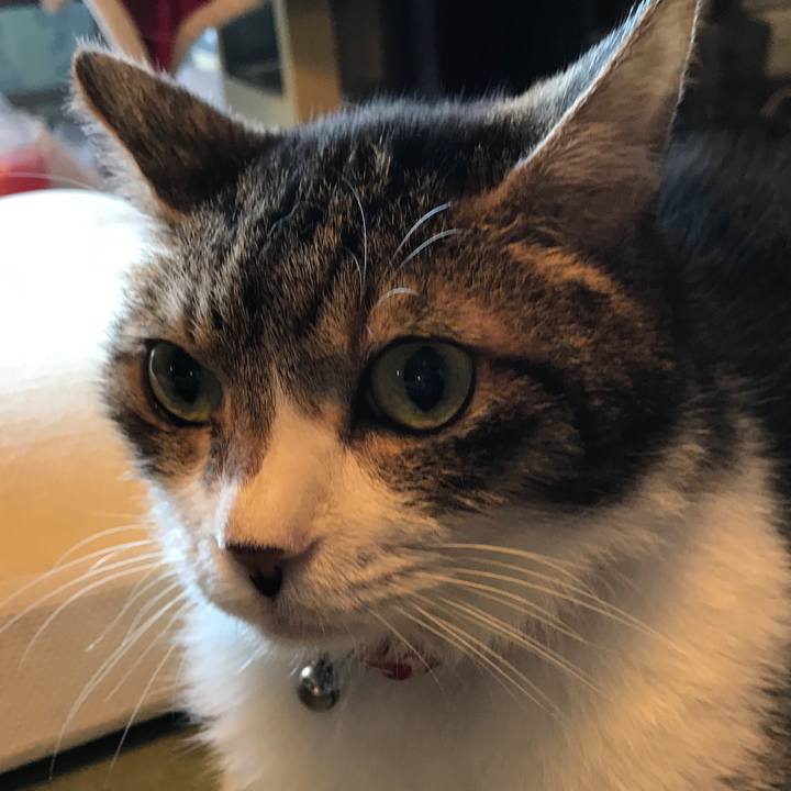 1f6bb1d3 d2db 4550 be18 d6bdad35c8c4 1562398765512