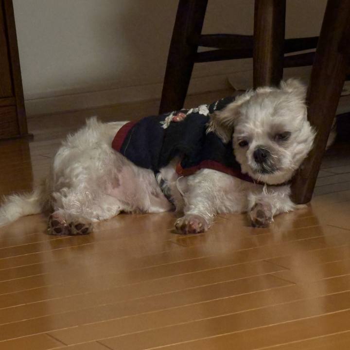 1f6bbdf7 f9e1 4037 87a4 9f4125e2d672 1761602054397