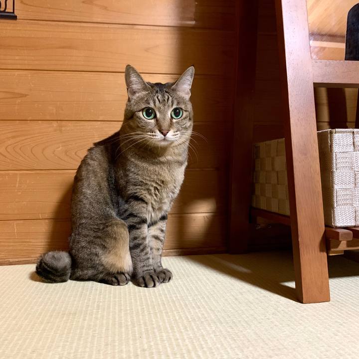 1f6bd07e 0a9c 4640 982e 399573edd41d 1583672335993