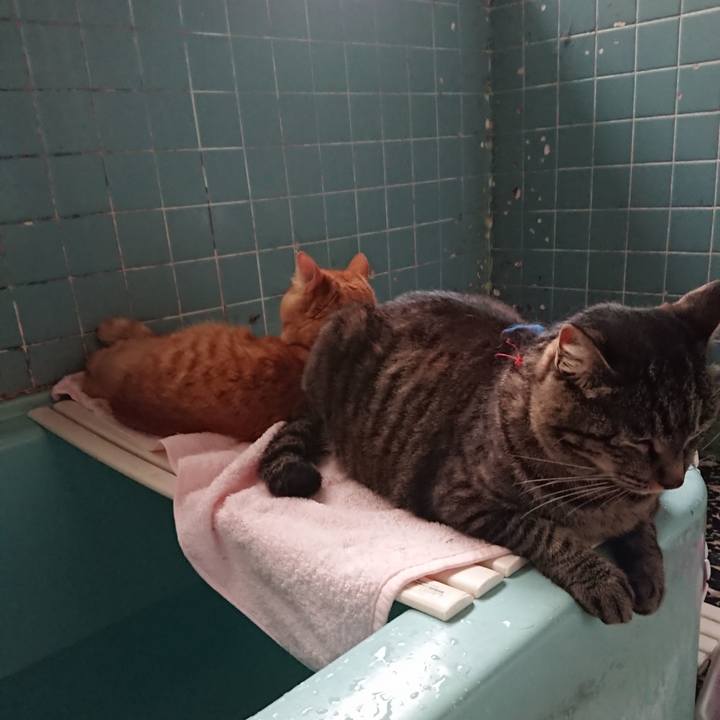 1f6bdb59 6944 4c8b 892d 445710e37c1b 1656841279619