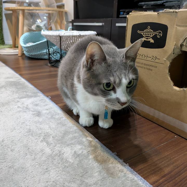 1f6c81d8 1f98 4534 9873 20c12ef7a5e9 1737065488780