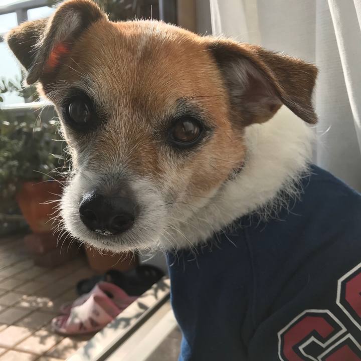 1f6c8a17 511d 4b0d 8dc9 cfbcd90addc1 1574652049019