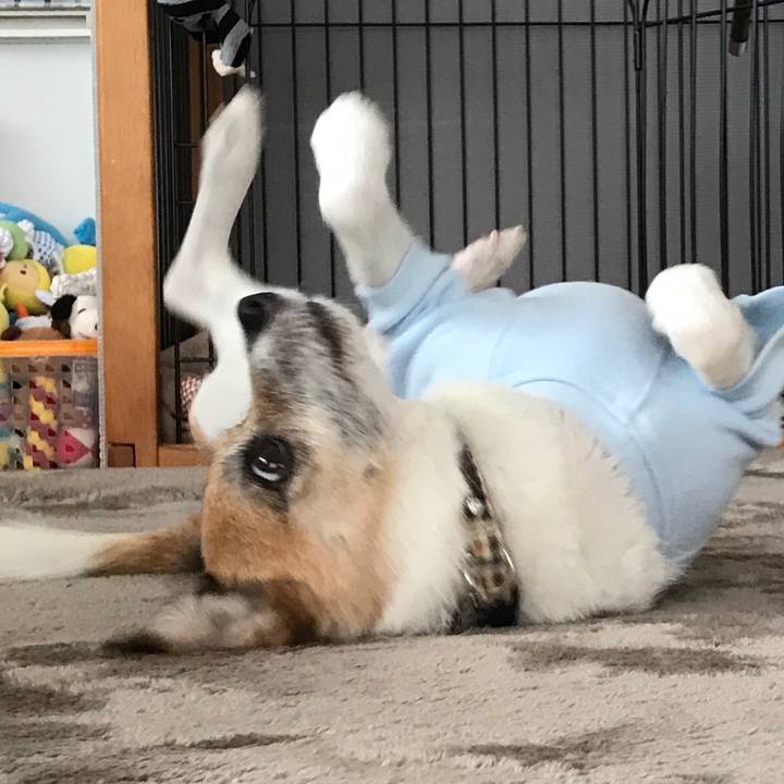 1f6c8cd9 d09c 487e 9c7a 98751cccd07c 1586678411163