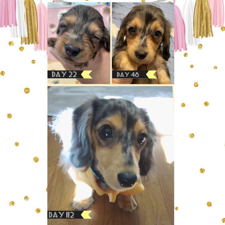 1f6caecc e942 46cd a941 123dc20ce943 1699408677673