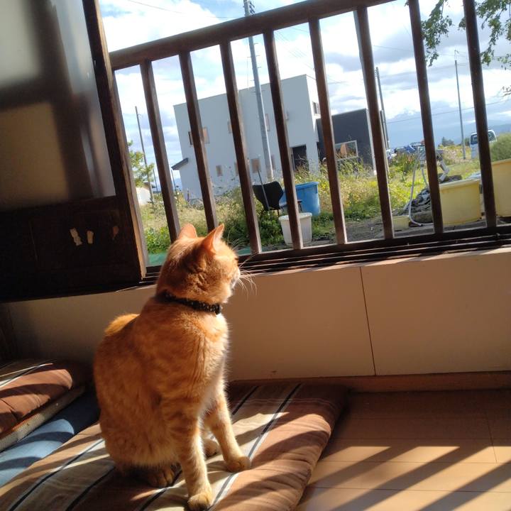 1f6cd50f f94e 4cea a53e 2deeb09b54b6 1665465917739