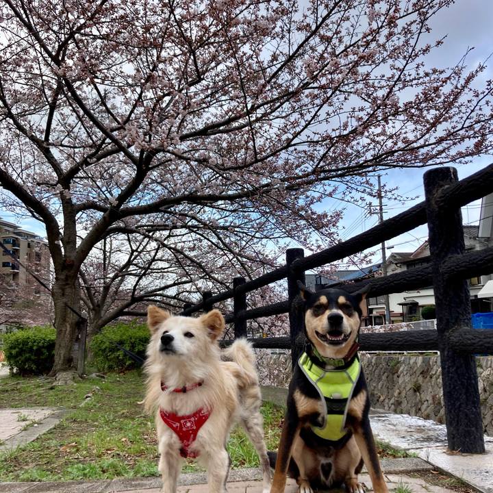 1f6cd774 a131 41e7 9c21 a8c8d208bc13 1648355431960