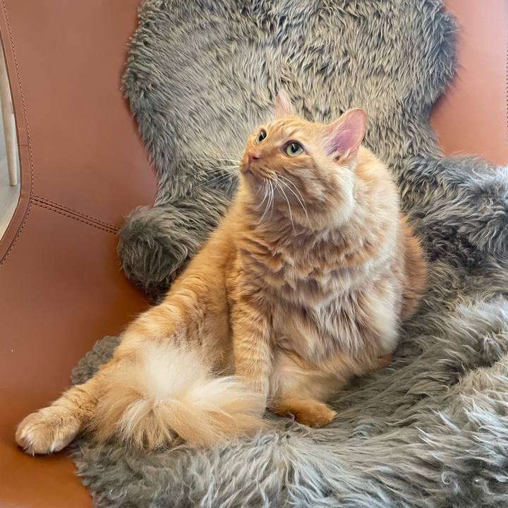 1f6cde46 916c 407b ae84 61923d0f416a 1774160638494