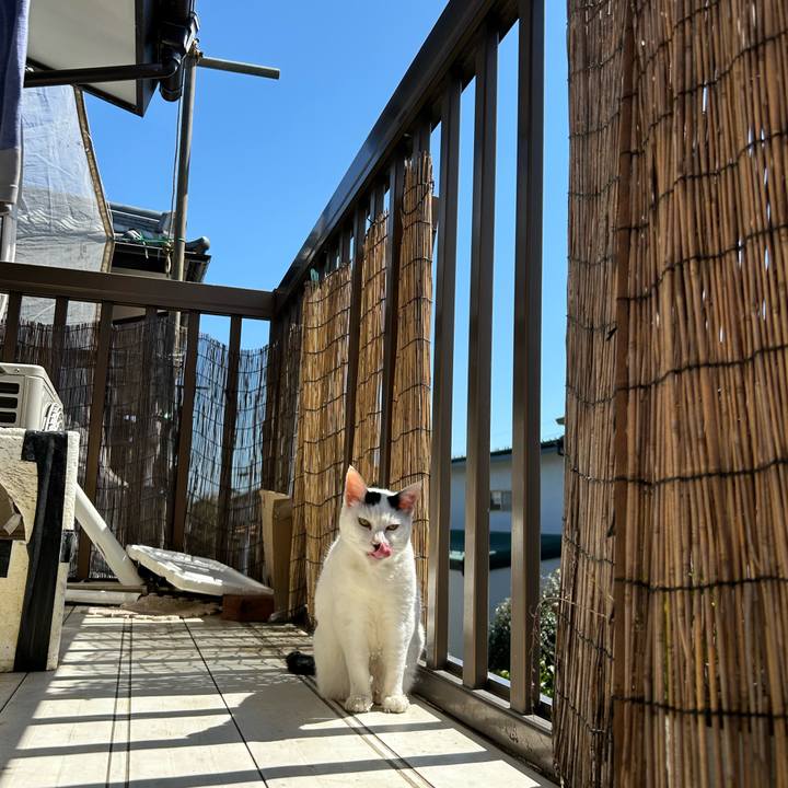 1f6cf432 4794 4cdd b0f9 17ed521a9977 1744778306452