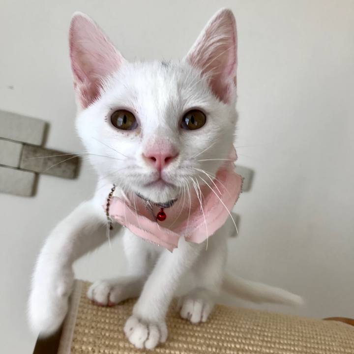 1f6d2012 e07f 449a aebb b26d5ab935cc 1567835053061