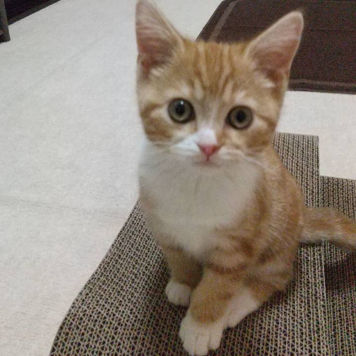 1f6d2459 d44d 4024 8bdc 9d5224babbad 1621557218146