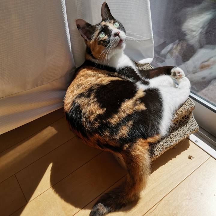 1f6d2fdb 2914 4cf8 8fbd 0279d0eb7688 1662968896966