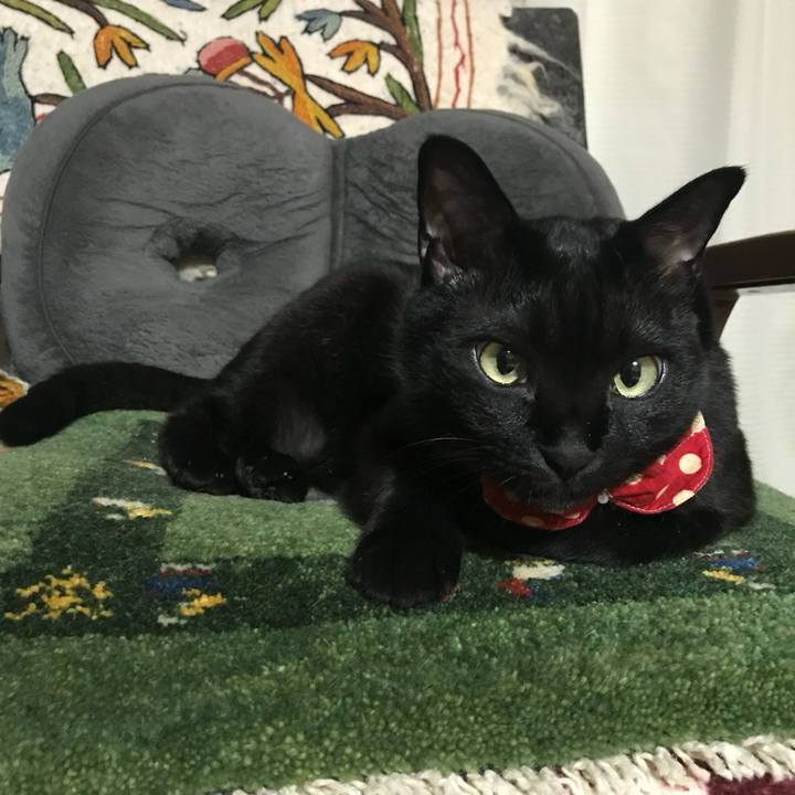 1f6d5305 d549 4a8a bce5 b637c3060dd0 1607048613829