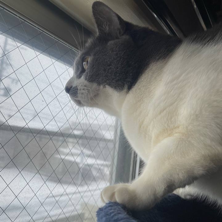 1f6d6408 ef80 4855 9aac 0968c6e78632 1706049915151