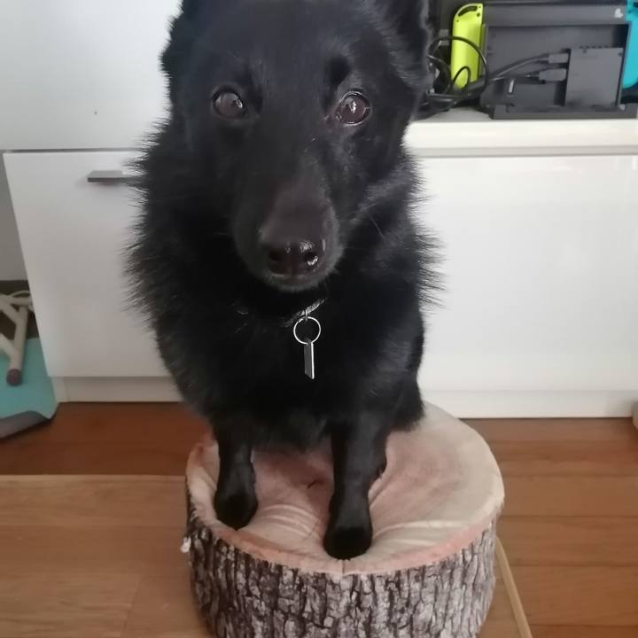 1f6d9548 1280 47ea a32e 54c196e22a44 1636773973124