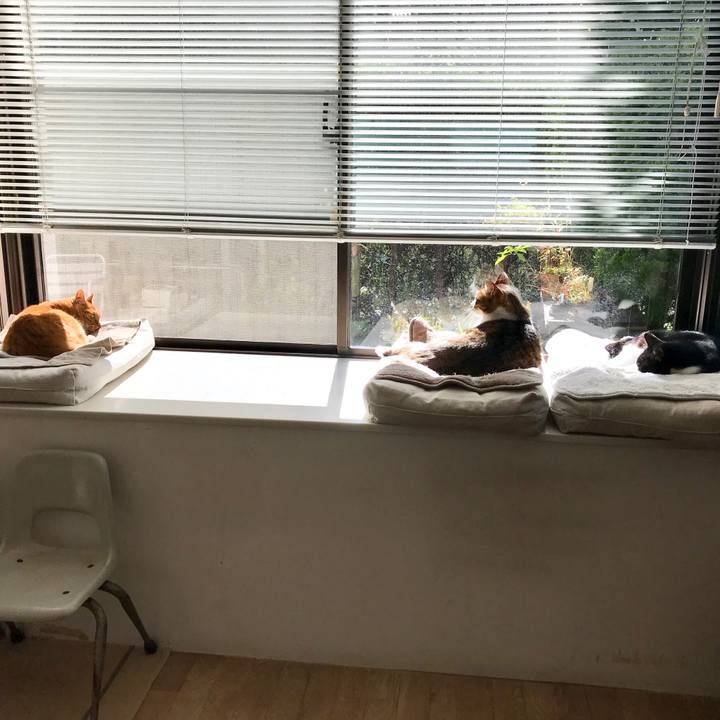 1f6db689 dbe7 465d afd9 f468f6f15a2f 1510454435089