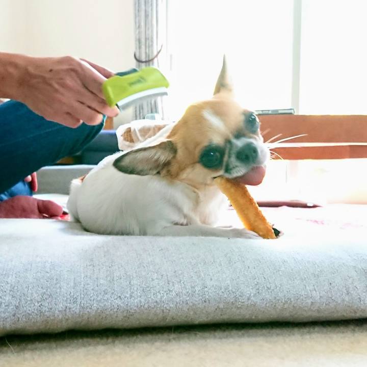 1f6dc74b 3ec5 4b43 ab2c e526a3f3321c 1567907291197