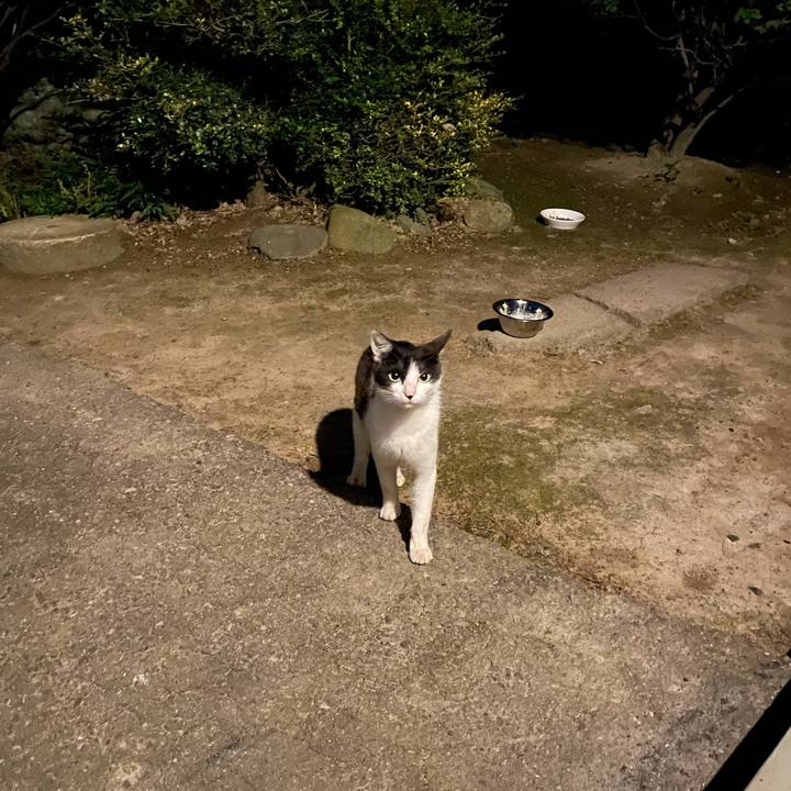 1f6dd0a7 e2dd 4064 bc65 73838a957d62 1626720574330