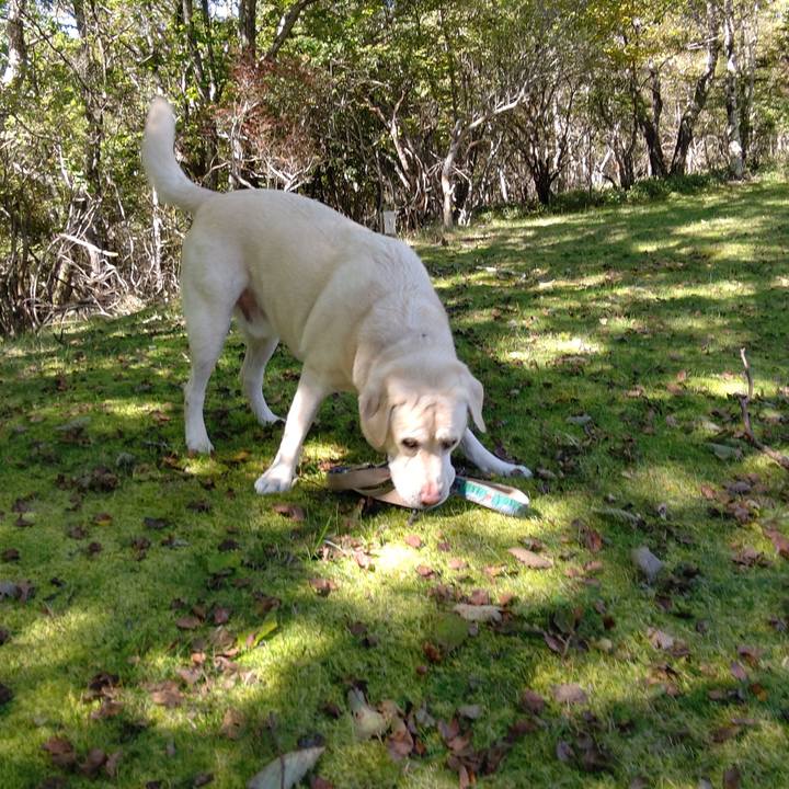 1f6e1265 48b3 4c97 8a0d 8fdc7e3cf8c9 1664504642717