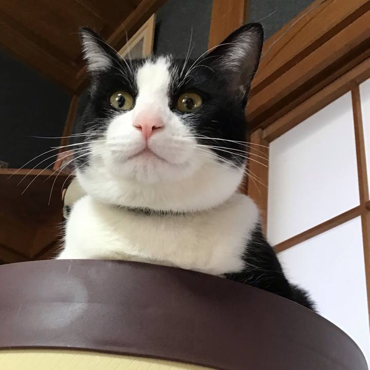 1f6e41fd 13ab 4ff7 8156 70551a9684ff 1648073674884