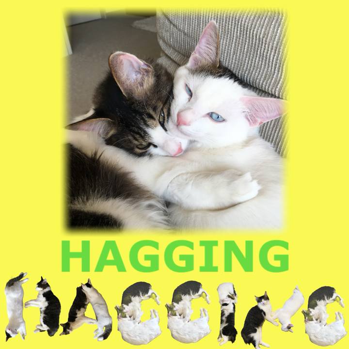 1f6e54a3 2050 472a b9e6 06c6cdb91a30 1667947179336