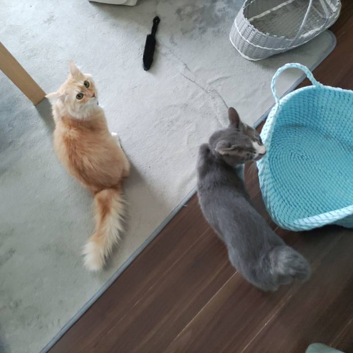 1f6e9e35 2814 4bd6 801f 34b658945274 1694842096310