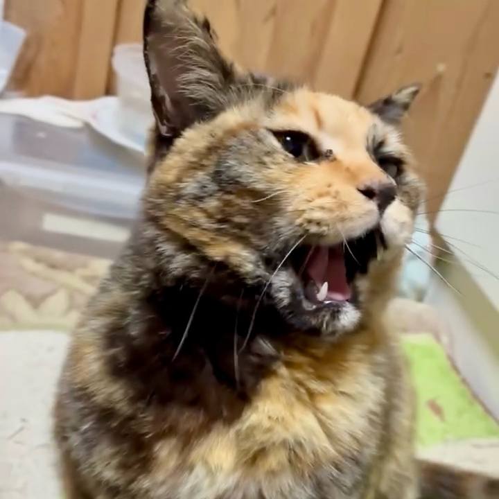 1f6effdb 1f47 49a9 99de 3c7e2fa4f738 1770560972552