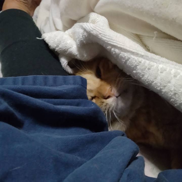 1f6f1916 41e6 4684 8542 53d49c154dab 1761689897323