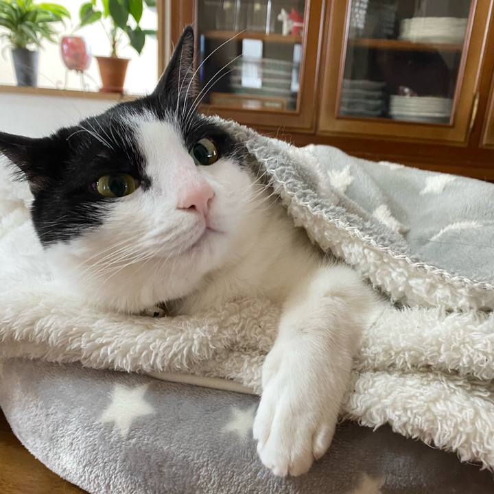 1f6f1f83 5ffc 4a12 a37f 3fda2bdbb72b 1612741642958