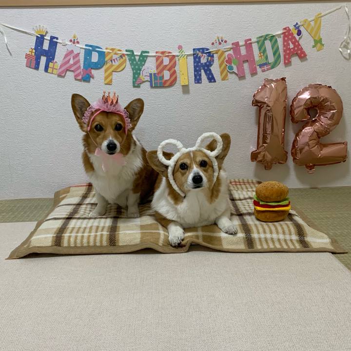 1f6f44aa 1af6 4476 bc36 0d54fdb3d4fd 1677934212833