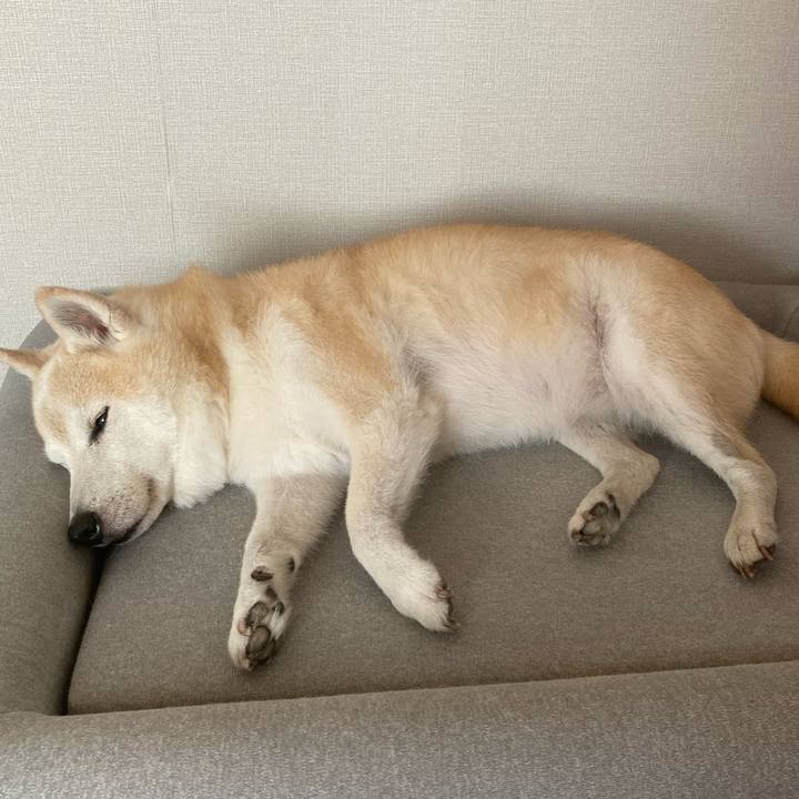 1f6f5658 6486 4e4b 8a2a 0da4fe91f537 1691465818800