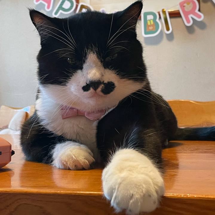 1f6f67de d035 4a5f a0e5 afa0af4b1448 1756516270069