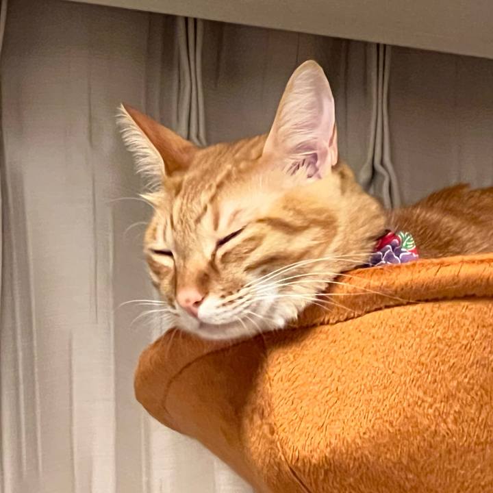 1f6f8815 1706 4268 a287 b72a2c29ddbb 1644783129709