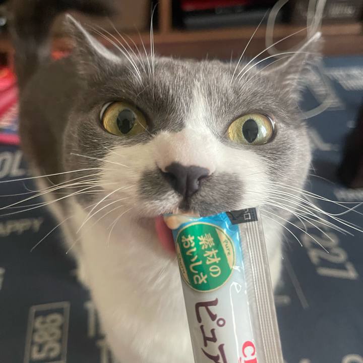 1f7020a0 a2c3 44fd 940a a9c52f721947 1724744696854