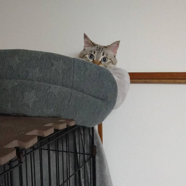 1f7033a9 cf21 4015 aaa2 f43a5e8e2701 1688643686539