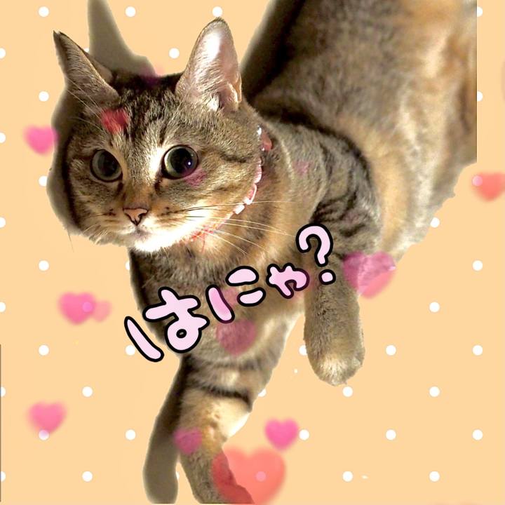 1f7057cf 3fc6 43cd b1fe 7ee5231d857a 1630988640375