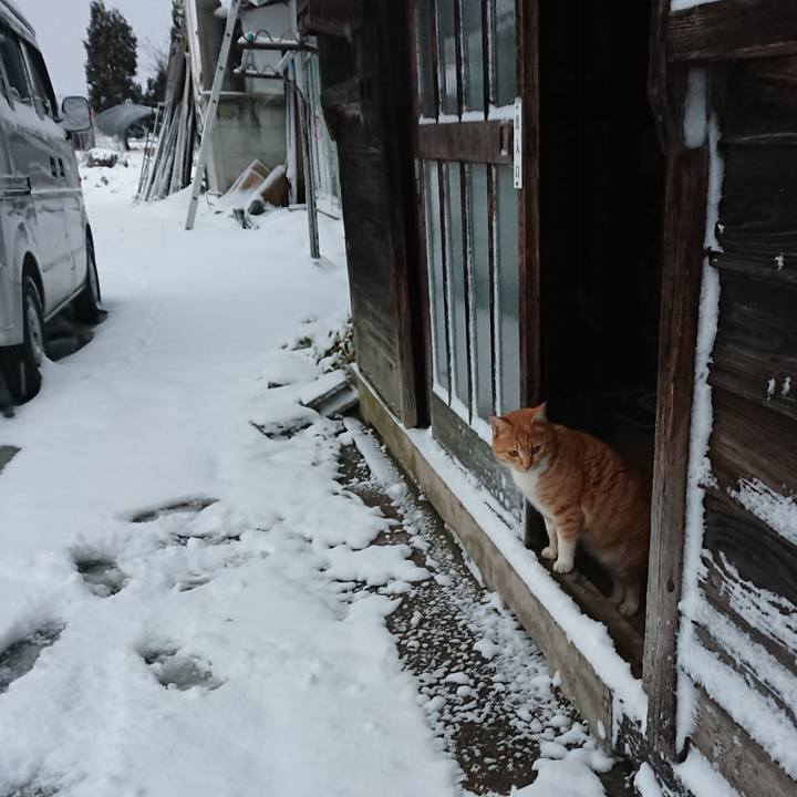 1f7066b3 570c 49ad 8a05 d8e112edaeb2 1577829399153