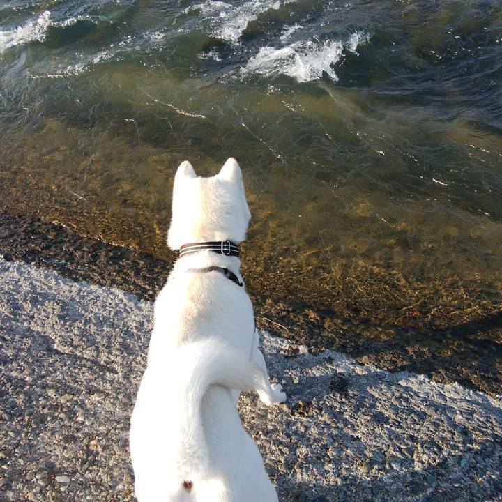 1f7068a8 8f06 42eb 968b 8574c5edf5ba 1520123660442