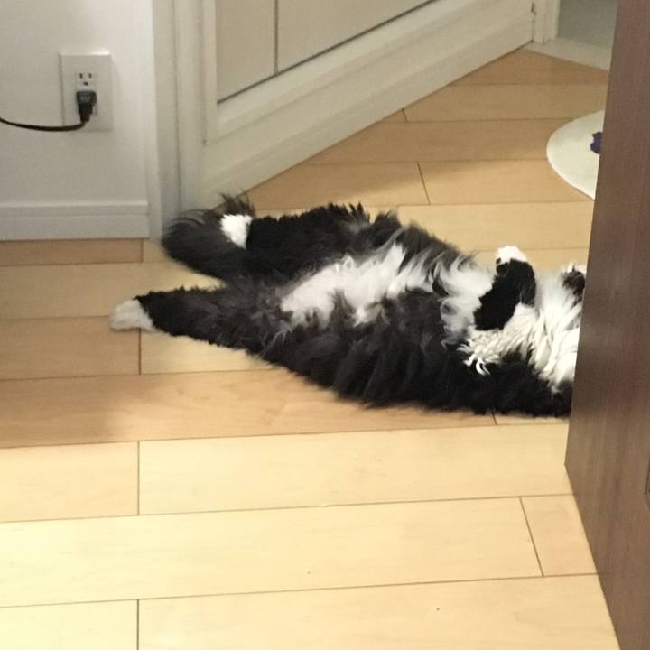 1f70814d 83be 4cb0 9ae8 13ab8f54ee1c 1523590902894