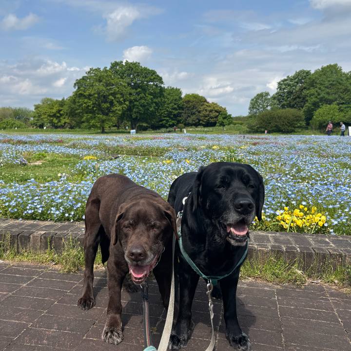 1f70bf0a 9511 40e6 a1cf cf02cd5fedee 1777203105972