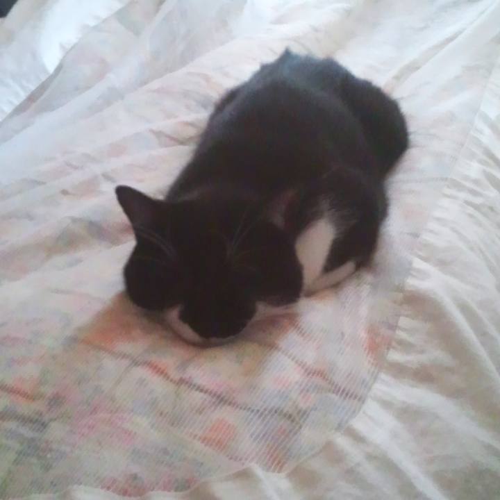 1f70e8f4 49c3 475e 8838 161c9cf2fe7e 1542714185757