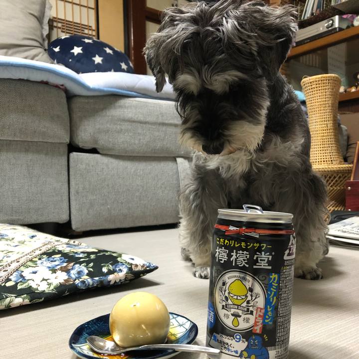 1f70f0f6 990d 457c a6fa a456a3a1b544 1634559960039